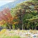 배내허브랜드 이미지