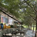 산여울 | 전주 근교 계곡 평상 가격 완주 산여울가든 후기