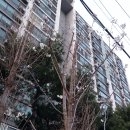 장자대로 이미지