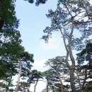 천년의 숲 화장실 이미지