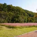 서당공원 화장실 이미지