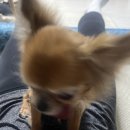 김가네 울산시청점 | 우리는 안녕이란 말 대신에