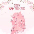 벚꽃~~개화지도^^🌸 이미지