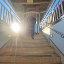 레드민박 | 14박15일 커플여행🤍 (피렌체1_앤드피렌체 한인민박, 트러플파스타, 납작복숭아, 달오스떼3호점, 야경구경)