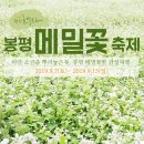 감성여행사 이미지