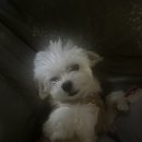 광양시보건소_재활프로그램실 | 사랑이 있기를