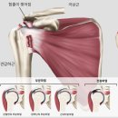 섬기는한의원 네이버블로그