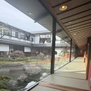 근우슈퍼마트 건너편 | 오사카여행 3-4일차. 히메지성, 오카야마 슈퍼호텔과 라멘, 구라시키 미관지구 소바, 우메다 타코야끼
