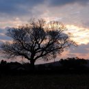 성읍리-18 이미지