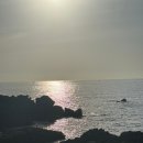 제주동네부동산중개 이미지