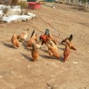 풍경시골 이미지