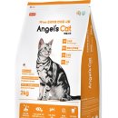 두나펫 코리아 이미지