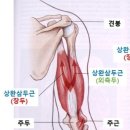 준슈퍼 이미지