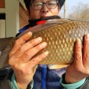 대물낚시터 이미지