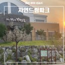 괴산파크골프장 | 대전 근교 여행 아이와 가볼만한 곳 괴산 자연드림파크