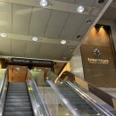 펠리체빈 | 웨딩홀 암행투어 | 소노펠리체 삼성역 웨딩홀 암행투어 후기