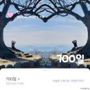 사랑나무가족도서관 | 24년 1월~5월 일상: 지난 일상📝