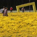 11월 16월--18수 바라던 바다 (sea of hope) -경주, 울산,포항 , 울진 이미지
