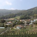 대촌1리 이미지