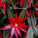 성실세탁 이미지