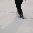 하나오토 네이버블로그