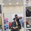 머리하는,나 | 신방화역 미용실 7년 찐단골 방화동 머리하는공간 후기