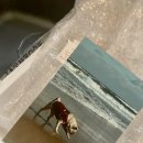 우프밀(woofmeal) 네이버블로그