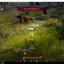 야생마PC 이미지
