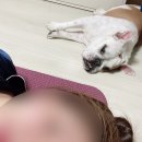 너만멍냥