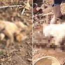 인천농장 이미지