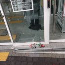 밀양대공원로 이미지