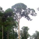 아프리카팩토리 이미지