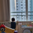 5384 | [공지] 아이와 대구 신세계백화점 대구아쿠아리움 다녀온 후기