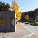 주안역 버스승강장 이미지