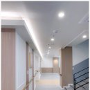 실버라인 이미지