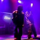 가람비디오 이미지