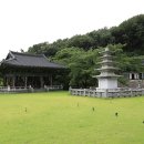 [대전] 식장산 고산사 食藏山 高山寺 이미지