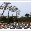 고스락