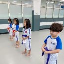 행복한태권도장 이미지