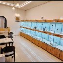 이정훈 강아지 이미지