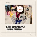 아라한 태권도장 | [6세 육아일기] 5세부터 시작한 태권도 1년 후기(장단점, 경기광주 아라한 태권도장 추천)
