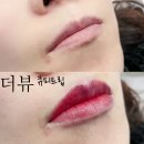 안견로(대로3-2) 네이버블로그