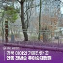 천년숲 유아숲체험원 이미지