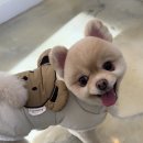 늘, 빛나개 이미지