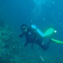 웅이아부지 이미지