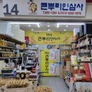 큰뿌리인삼사