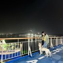 에코 켄넬 이미지