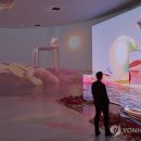 디자인 밀라