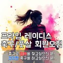 에코실외구장 네이버블로그