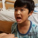 댕발소 이미지